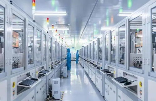 厲害了 惠州制造 閃耀巴黎奧運(yùn)會(huì)